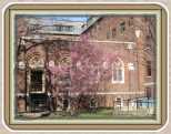 Georgetown University (16)